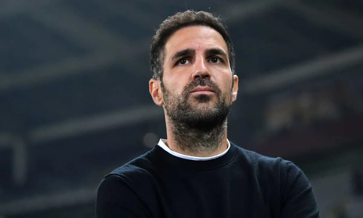 Hombre observando en un estadio de fútbol Hombre observando en un estadio de fútbol